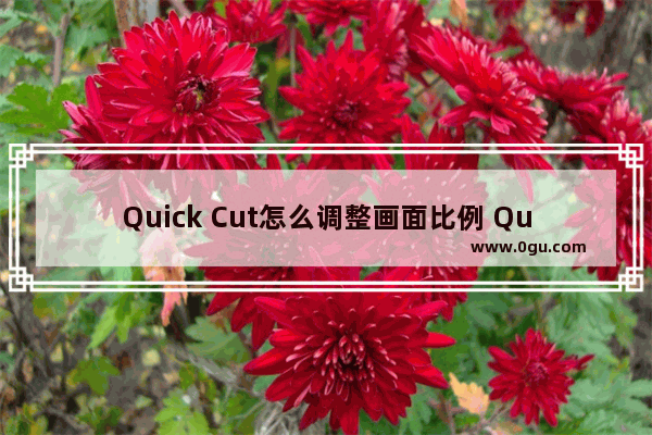 Quick Cut怎么调整画面比例 Quick Cut调整画面比例的方法