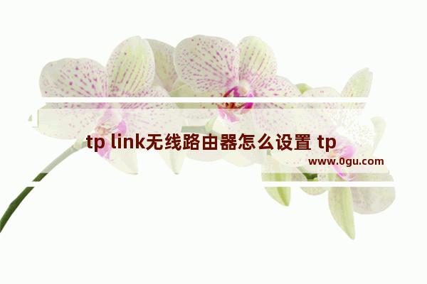 tp link无线路由器怎么设置 tp link无线路由器设置方法【教程】