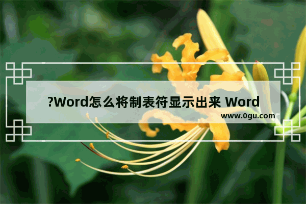 ?Word怎么将制表符显示出来 Word文档设置显示制表符格式标记的方法教程