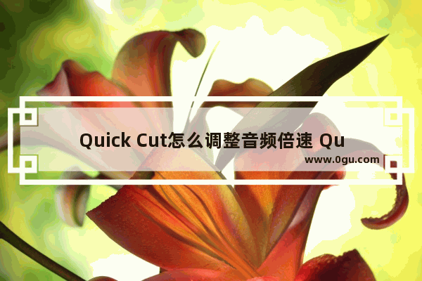 Quick Cut怎么调整音频倍速 Quick Cut设置音频倍速的方法