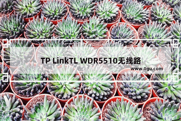 TP LinkTL WDR5510无线路由器WDS桥接设置24GHZ上网教程