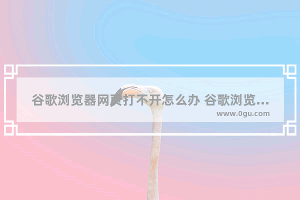 谷歌浏览器网页打不开怎么办 谷歌浏览器网页打不开的解决方法