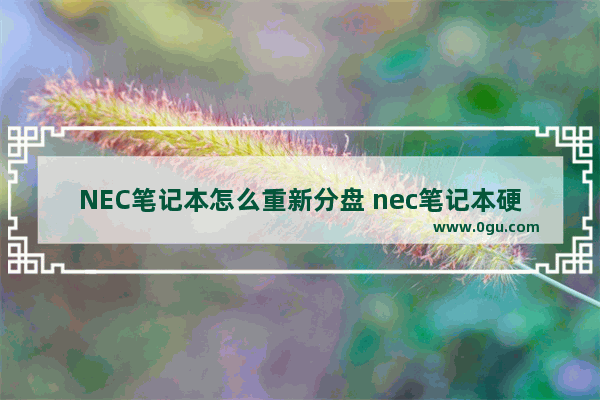 NEC笔记本怎么重新分盘 nec笔记本硬盘怎么拆