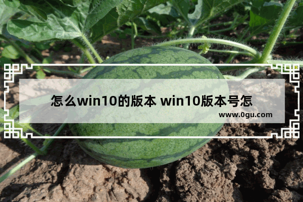 怎么win10的版本 win10版本号怎么升级