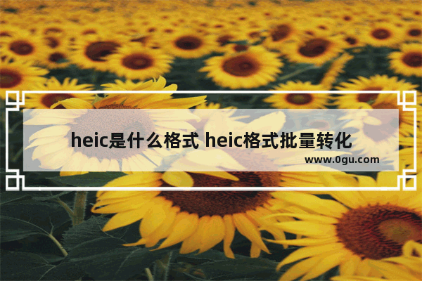 heic是什么格式 heic格式批量转化jpg