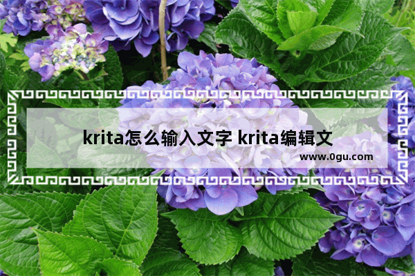 krita怎么输入文字 krita编辑文字的方法