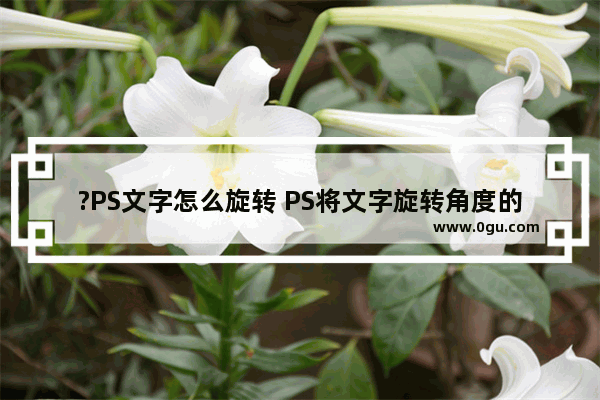 ?PS文字怎么旋转 PS将文字旋转角度的方法教程