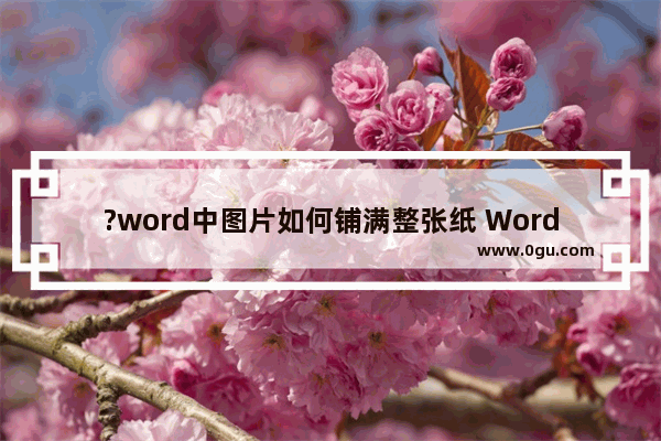 ?word中图片如何铺满整张纸 Word文档设置图片铺满整个页面的方法教程