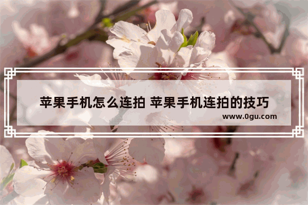 苹果手机怎么连拍 苹果手机连拍的技巧