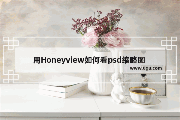 用Honeyview如何看psd缩略图 Honeyview预览PSD文件的方法