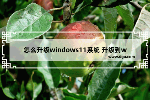 怎么升级windows11系统 升级到win11系统的方法