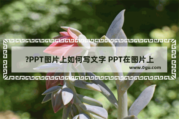 ?PPT图片上如何写文字 PPT在图片上面添加文字的方法教程