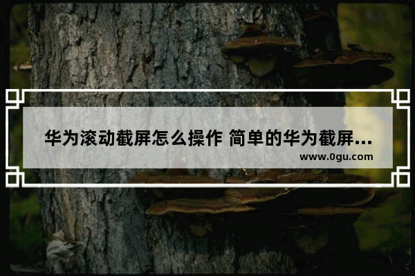 华为滚动截屏怎么操作 简单的华为截屏快捷方法