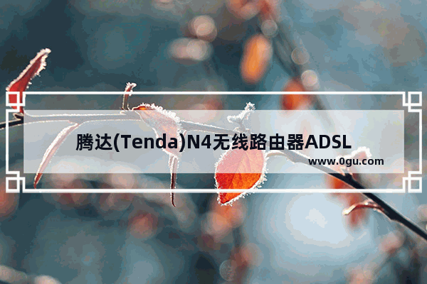 腾达(Tenda)N4无线路由器ADSL拨号上网设置