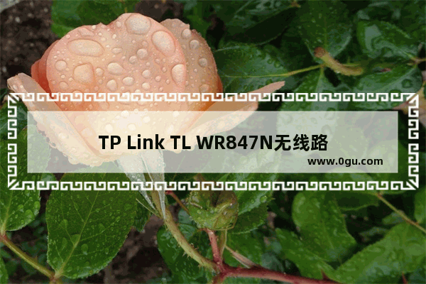 TP Link TL WR847N无线路由器怎么重新设置上网密码？