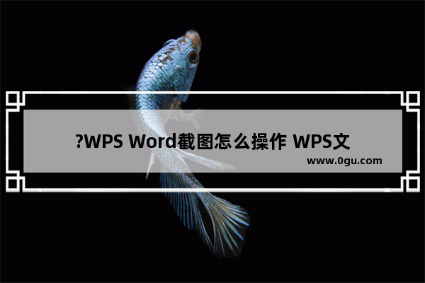 ?WPS Word截图怎么操作 WPS文档进行截图的方法教程