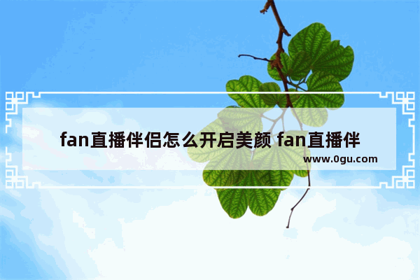 fan直播伴侣怎么开启美颜 fan直播伴侣开启美颜的方法