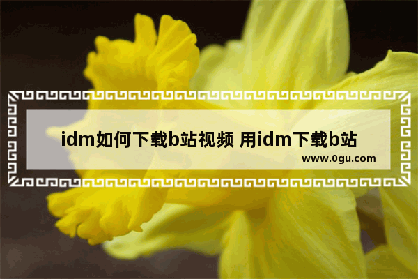 idm如何下载b站视频 用idm下载b站视频的方法