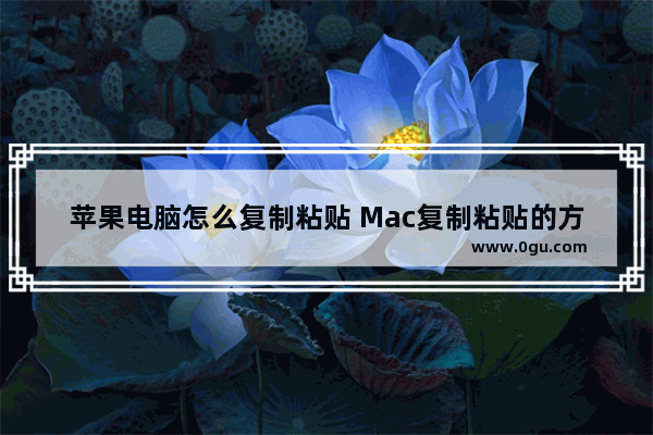 苹果电脑怎么复制粘贴 Mac复制粘贴的方法