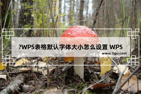 ?WPS表格默认字体大小怎么设置 WPS Excel设置默认字体字号的方法教程