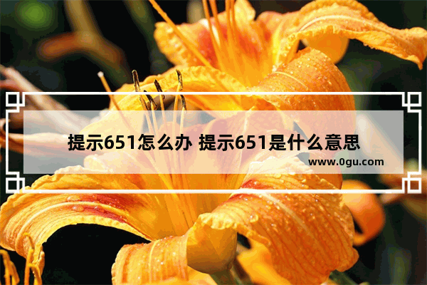 提示651怎么办 提示651是什么意思