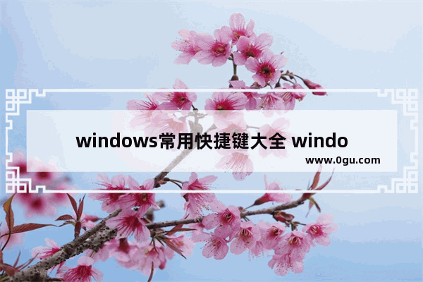 windows常用快捷键大全 windows系统最常用的20个快捷键