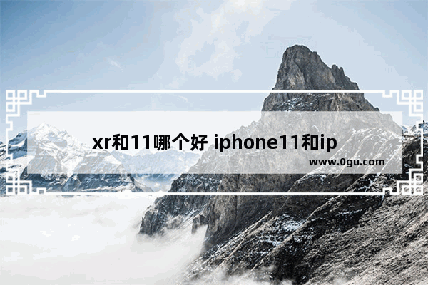 xr和11哪个好 iphone11和iphonexr对比