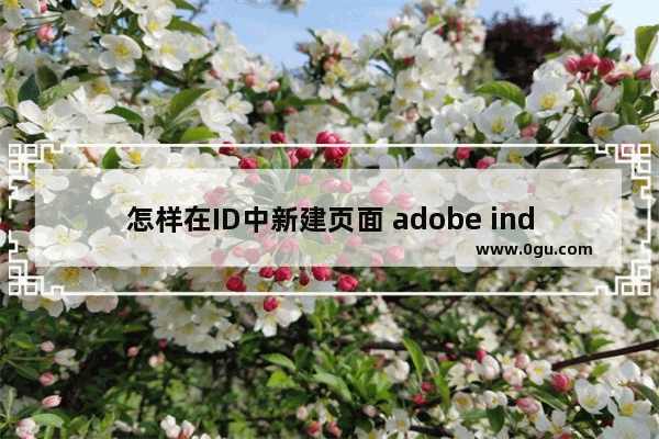 怎样在ID中新建页面 adobe indesign2022插入新的页面的方法