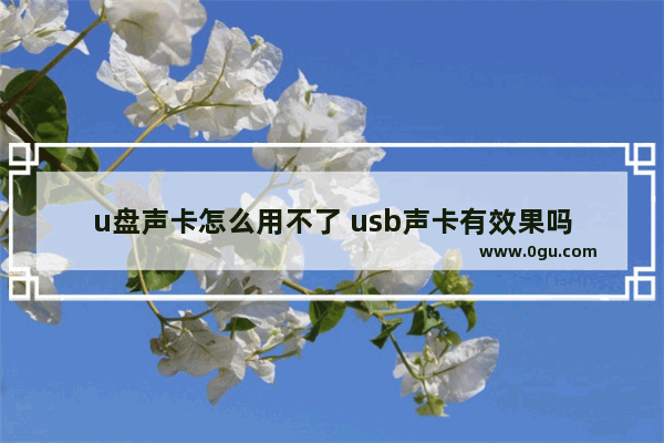 u盘声卡怎么用不了 usb声卡有效果吗