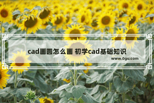 cad画圆怎么画 初学cad基础知识