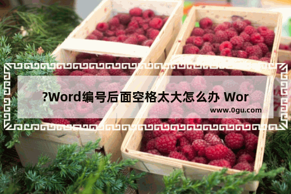 ?Word编号后面空格太大怎么办 Word文档调整编号后面空格距离的方法教程