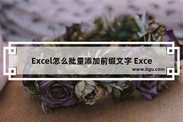 Excel怎么批量添加前缀文字 Excel批量添加前缀文字的方法