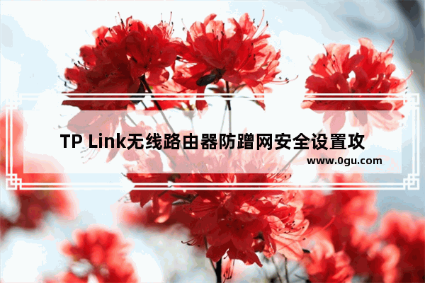 TP Link无线路由器防蹭网安全设置攻略