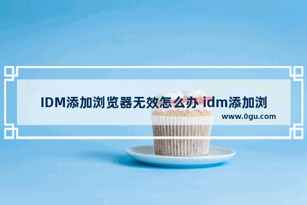 IDM添加浏览器无效怎么办 idm添加浏览器无效的解决方法