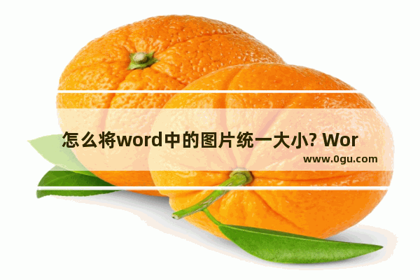 怎么将word中的图片统一大小? Word统一图片大小的方法