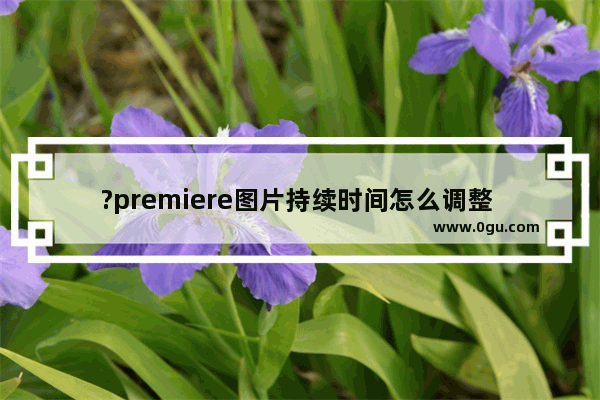 ?premiere图片持续时间怎么调整 pr修改图片默认持续时间长度的方法教程