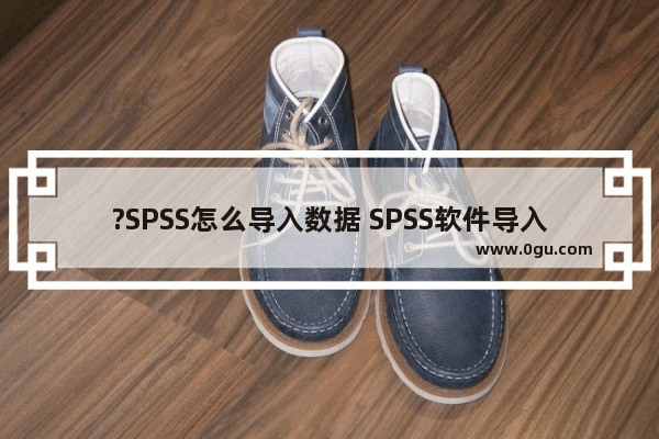 ?SPSS怎么导入数据 SPSS软件导入数据的方法教程