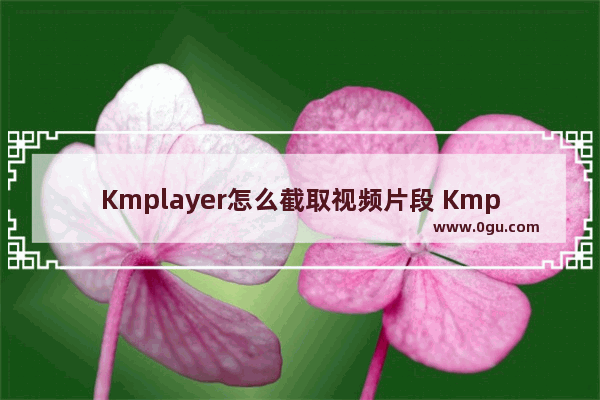 Kmplayer怎么截取视频片段 Kmplayer截取视频片段的方法