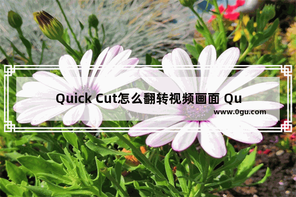 Quick Cut怎么翻转视频画面 Quick Cut翻转视频的方法