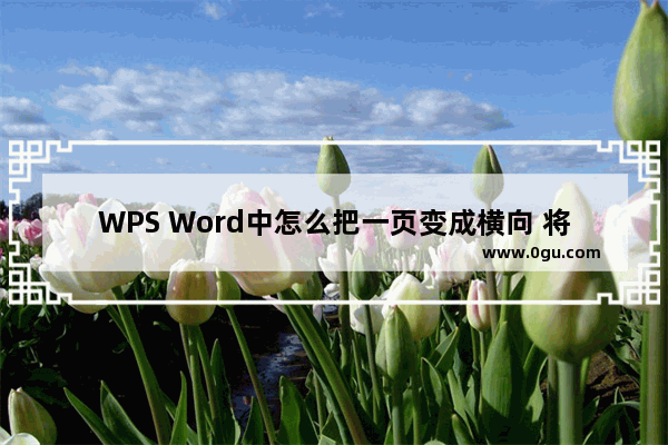 WPS Word中怎么把一页变成横向 将WPS word中的一页变成横向的方法