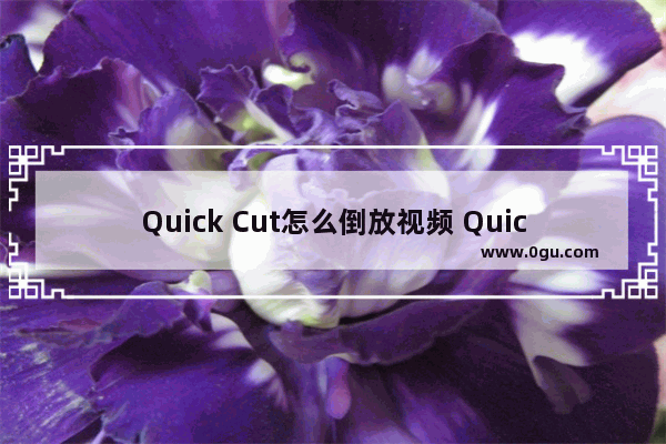 Quick Cut怎么倒放视频 Quick Cut视频倒放的方法