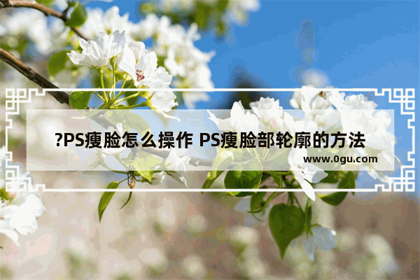 ?PS瘦脸怎么操作 PS瘦脸部轮廓的方法教程