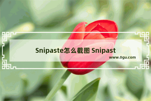 Snipaste怎么截图 Snipaste截图工具进行截图的操作方法