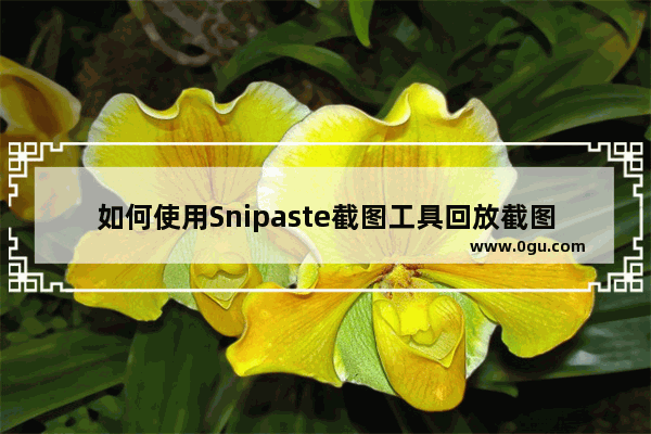 如何使用Snipaste截图工具回放截图记录 Snipaste截图工具查看截图记录的方法