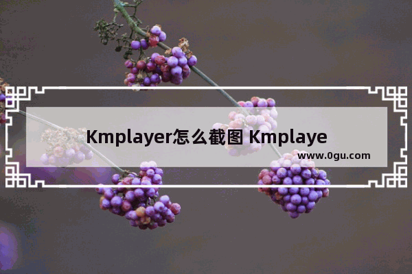 Kmplayer怎么截图 Kmplayer截图的方法