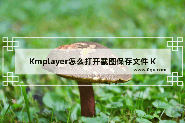 Kmplayer怎么打开截图保存文件 Kmplayer打开截图保存文件的方法