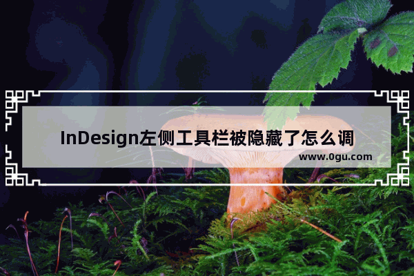 InDesign左侧工具栏被隐藏了怎么调出 InDesign快速调出工具栏的方法