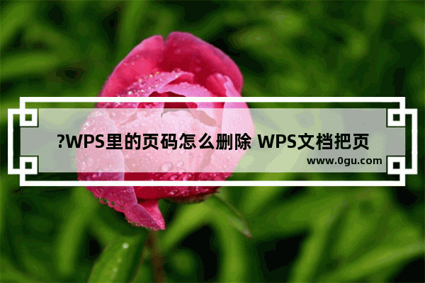 ?WPS里的页码怎么删除 WPS文档把页码删了的方法教程