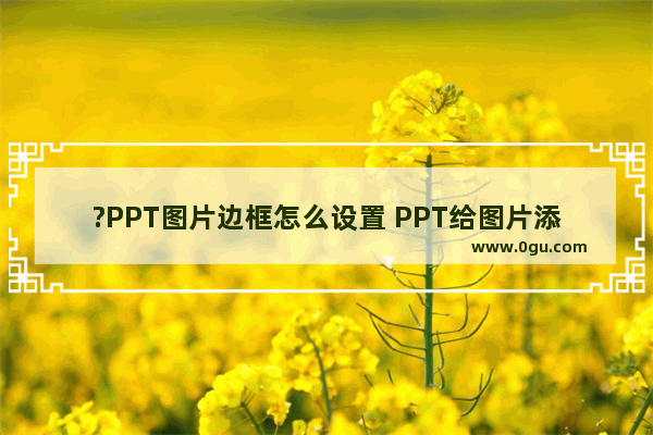 ?PPT图片边框怎么设置 PPT给图片添加边框的方法教程