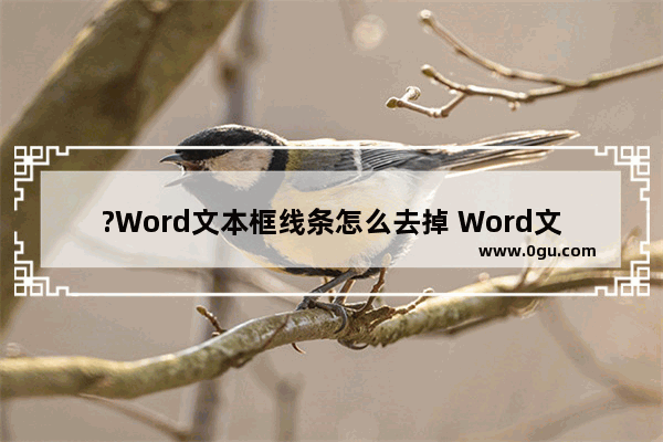 ?Word文本框线条怎么去掉 Word文档去掉文本框线条的方法教程